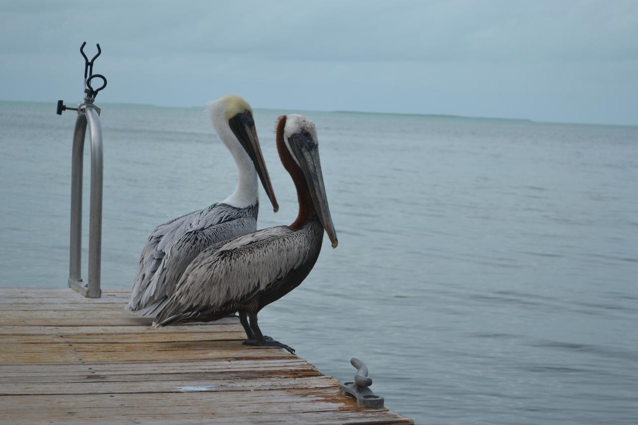 La Jolla Resort Islamorada Zewnętrze zdjęcie